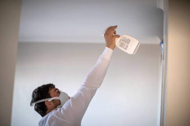 Best Black Mold Remediation in Pennington, NJ