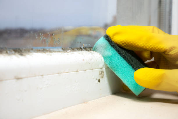 Best Industrial Mold Remediation in Pennington, NJ