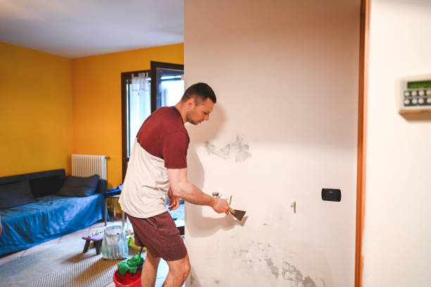 Best Residential Mold Remediation in Pennington, NJ